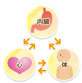 ココロとカラダの不調には内臓が大きく関係しています。